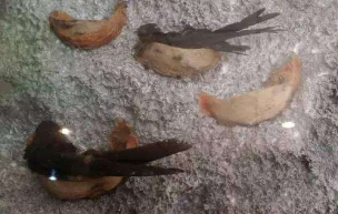 �ҹ��в��������й���û��������Ϣ���Ҷ���